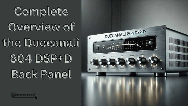Complete Overview of the Duecanali 804 DSP+D Back Panel