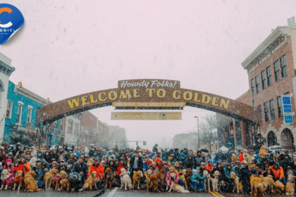 Golden Retrievers in Golden Colorado