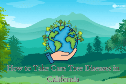 How to Take Care Tree Diseases in California