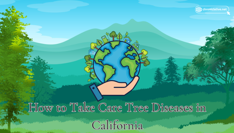 How to Take Care Tree Diseases in California
